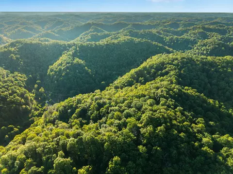 View/Area - 139 Burcham Fork Rd, Jackson, KY 41339 photo 8 of 18