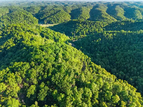 View/Area - 139 Burcham Fork Rd, Jackson, KY 41339 photo 7 of 18