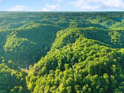View/Area - 139 Burcham Fork Rd, Jackson, KY 41339 photo 9 of 18