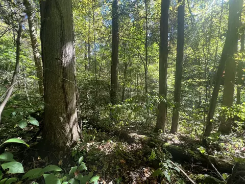 lot15 Red River Vly, Slade, KY 40376