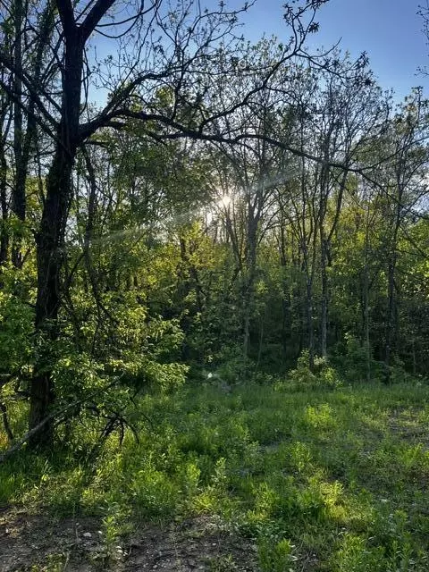 3130 Cincinnati Pike, Georgetown, KY 40324 photo 7