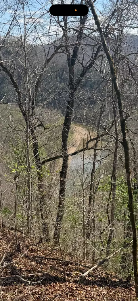 0000 Morris Cemetery Rd, Hyden, KY 41749