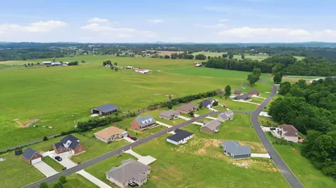 View/Area - 61 Knoll Ct, Nancy, KY 42544 photo 12 of 14