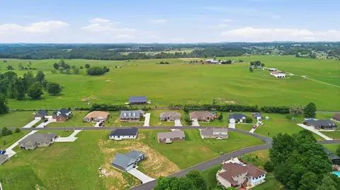 View/Area - 61 Knoll Ct, Nancy, KY 42544 photo 11 of 14