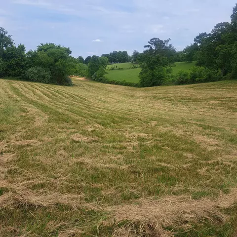9999 Mcgill Wyan Rd, London, KY 40744