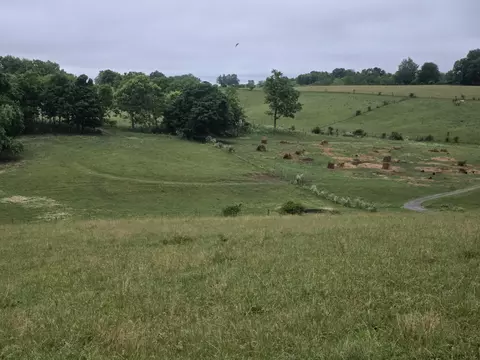 4430 State Hwy 1194, Stanford, KY 40484
