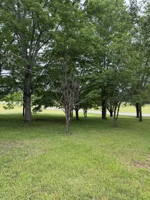 1111 Browning Acres Rd, Corbin, KY 40701 photo 3