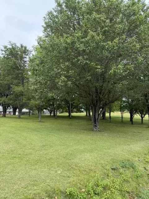 1111 Browning Acres Rd, Corbin, KY 40701 photo 5