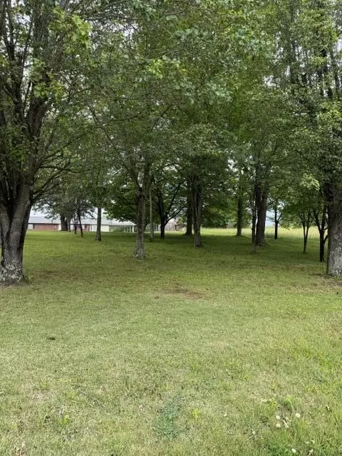 1111 Browning Acres Rd, Corbin, KY 40701 photo 6