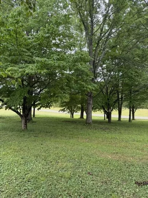 1111 Browning Acres Rd, Corbin, KY 40701 photo 9
