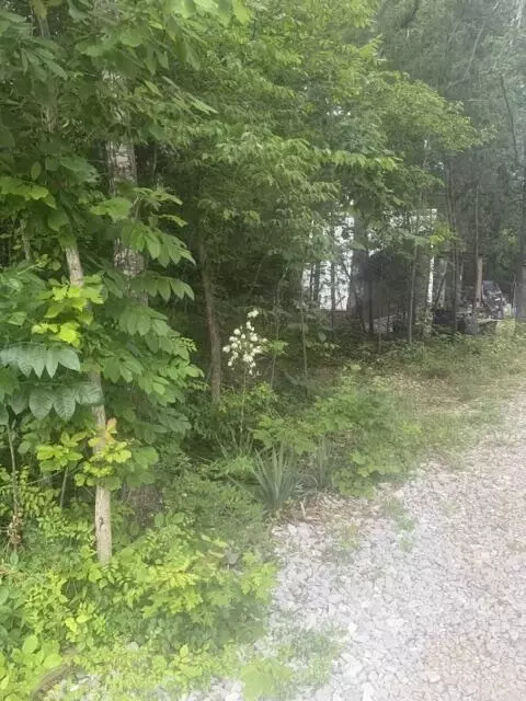 970 Lakeshore Dr, Burnside, KY 42519 photo 18