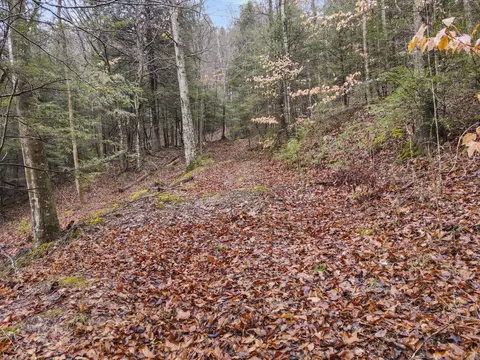 0 0 South Fork Rd, Stanton, KY 40380