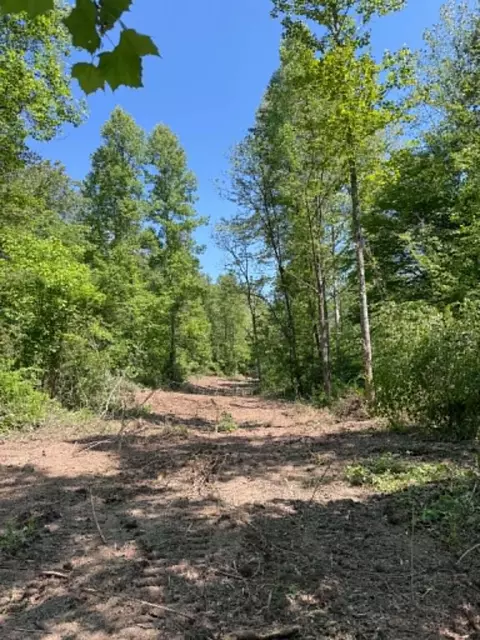 0 Ky-706 Rd, Sandy Hook, KY 41171 photo 7