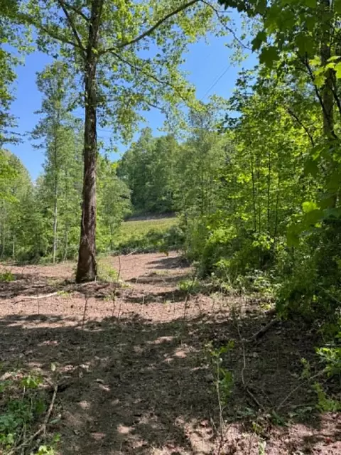 0 Ky-706 Rd, Sandy Hook, KY 41171 photo 5