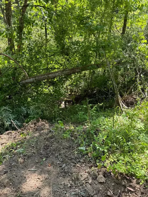 0 Ky-706 Rd, Sandy Hook, KY 41171 photo 10