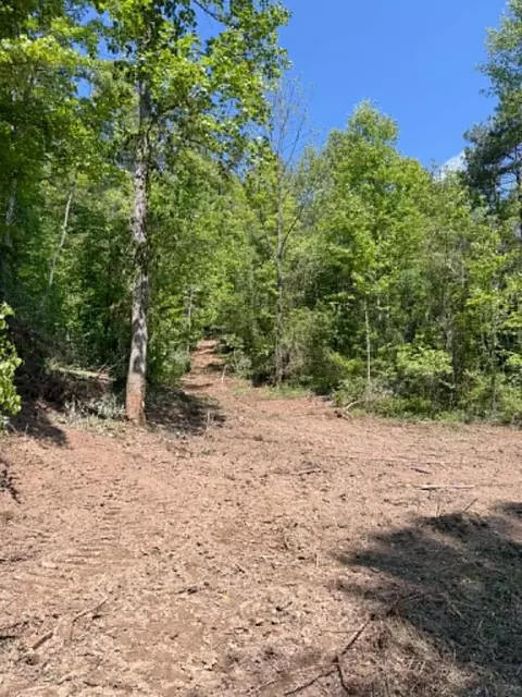 0 Ky-706 Rd, Sandy Hook, KY 41171 photo 9