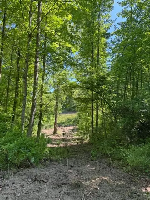 0 Ky-706 Rd, Sandy Hook, KY 41171 photo 4