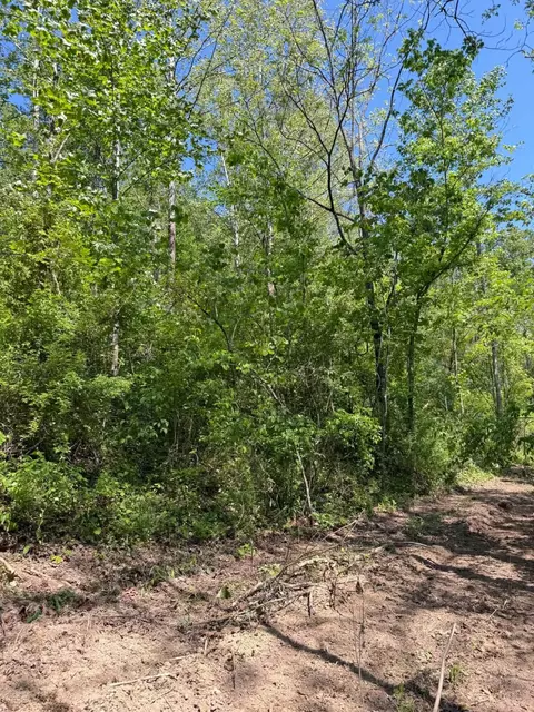 0 Ky-706 Rd, Sandy Hook, KY 41171 photo 11