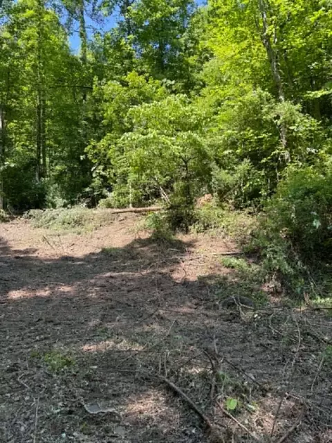 0 Ky-706 Rd, Sandy Hook, KY 41171 photo 2