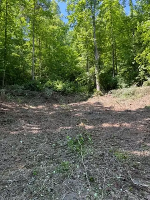 0 Ky-706 Rd, Sandy Hook, KY 41171