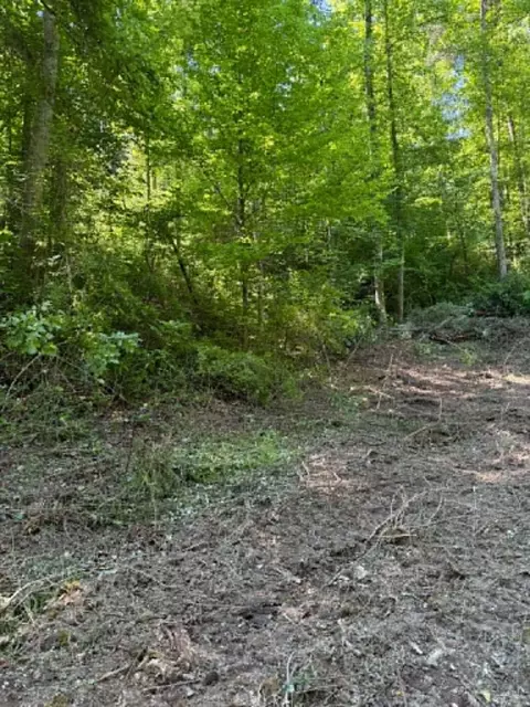 0 Ky-706 Rd, Sandy Hook, KY 41171 photo 3