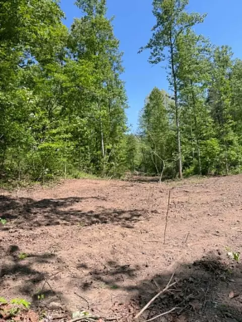 0 Ky-706 Rd, Sandy Hook, KY 41171 photo 6