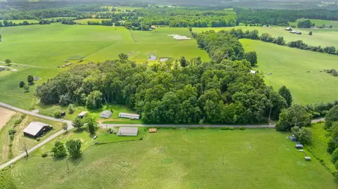 View/Area - 1545 Liberty Rd, Eubank, KY 42567 photo 2 of 19