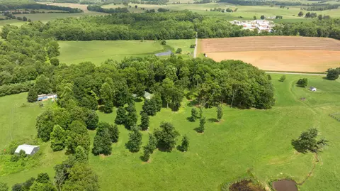 View/Area - 1545 Liberty Rd, Eubank, KY 42567 photo 12 of 19