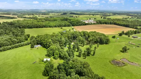 View/Area - 1545 Liberty Rd, Eubank, KY 42567 photo 16 of 19