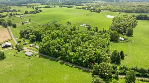 View/Area - 1545 Liberty Rd, Eubank, KY 42567 photo 8 of 19