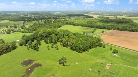 View/Area - 1545 Liberty Rd, Eubank, KY 42567 photo 14 of 19