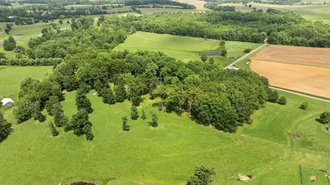 View/Area - 1545 Liberty Rd, Eubank, KY 42567 photo 13 of 19