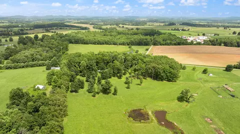 View/Area - 1545 Liberty Rd, Eubank, KY 42567 photo 15 of 19