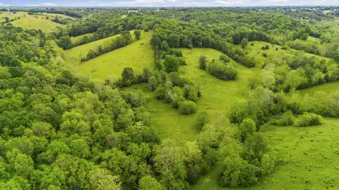 View/Area - 2997 Us 68, Ewing, KY 41039 photo 4 of 7
