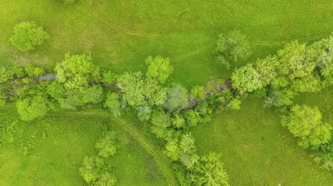 View/Area - 2997 Us 68, Ewing, KY 41039 photo 7 of 7