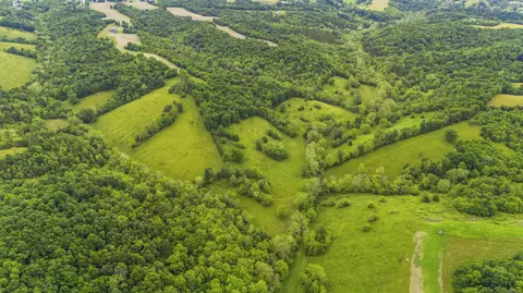 View/Area - 2997 Us 68, Ewing, KY 41039 photo 5 of 7