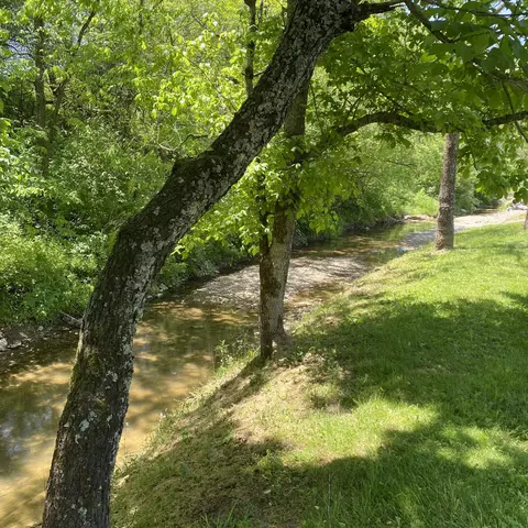 780 Skillet Branch Rd, Owingsville, KY 40360