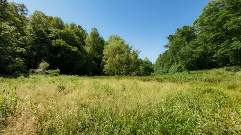 820 Shooting Fork Rd, Campton, KY 41301
