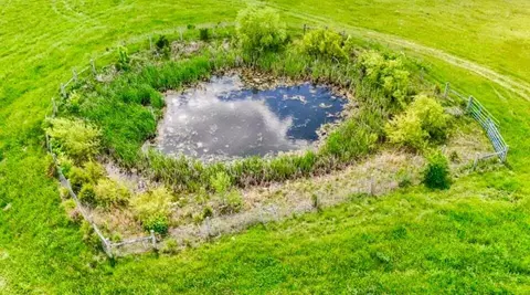 View/Area - 154 Double Culvert Rd # -B, Georgetown, KY 40324 photo 3 of 4