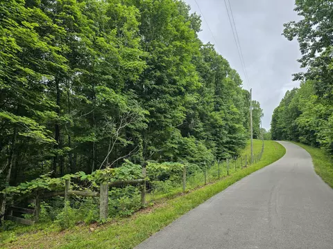 Other - 1803 Patsy Riffe Rd, Middleburg, KY 42541 photo 29 of 30