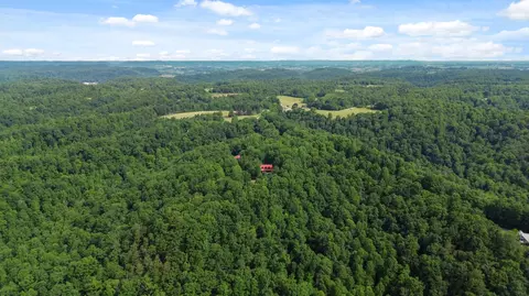 View/Area - 1803 Patsy Riffe Rd, Middleburg, KY 42541 photo 2 of 4