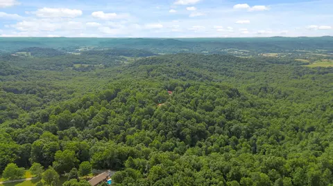 View/Area - 1803 Patsy Riffe Rd, Middleburg, KY 42541 photo 3 of 4