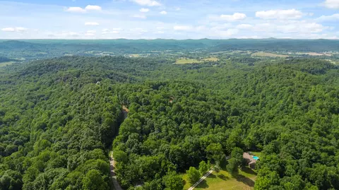 View/Area - 1803 Patsy Riffe Rd, Middleburg, KY 42541 photo 4 of 4