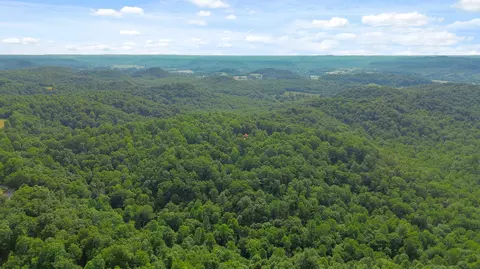Other - 1803 Patsy Riffe Rd, Middleburg, KY 42541 photo 27 of 30
