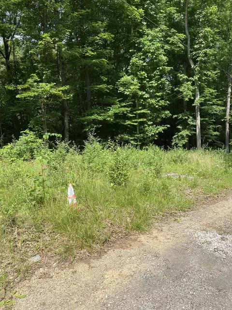 0 S Maugham Dr, Burnside, KY 42519 photo 2