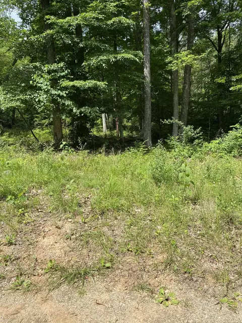 0 S Maugham Dr, Burnside, KY 42519