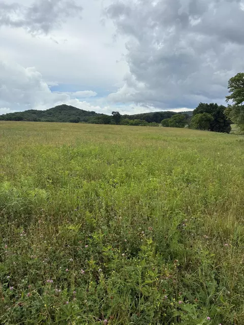 1234 Hart Pike, Owingsville, KY 40360