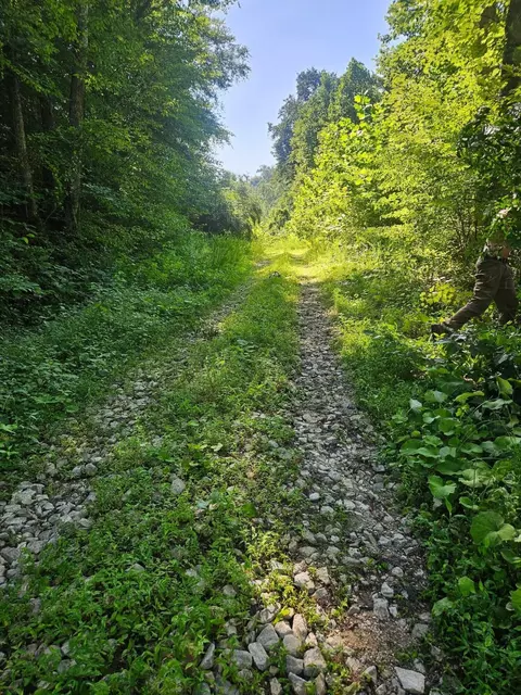 4242 Right Fork Georges Creek Rd, Louisa, KY 41230