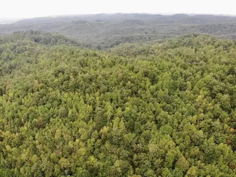 3680 Copper Creek Rd, Berea, KY 40403 photo 12