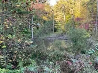 1001 Wilber Hill Rd, Blaine, KY 41124